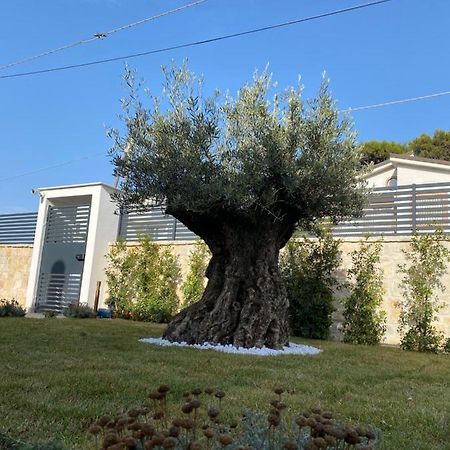 Villa Palladino Rooms Giovinazzo Exteriér fotografie