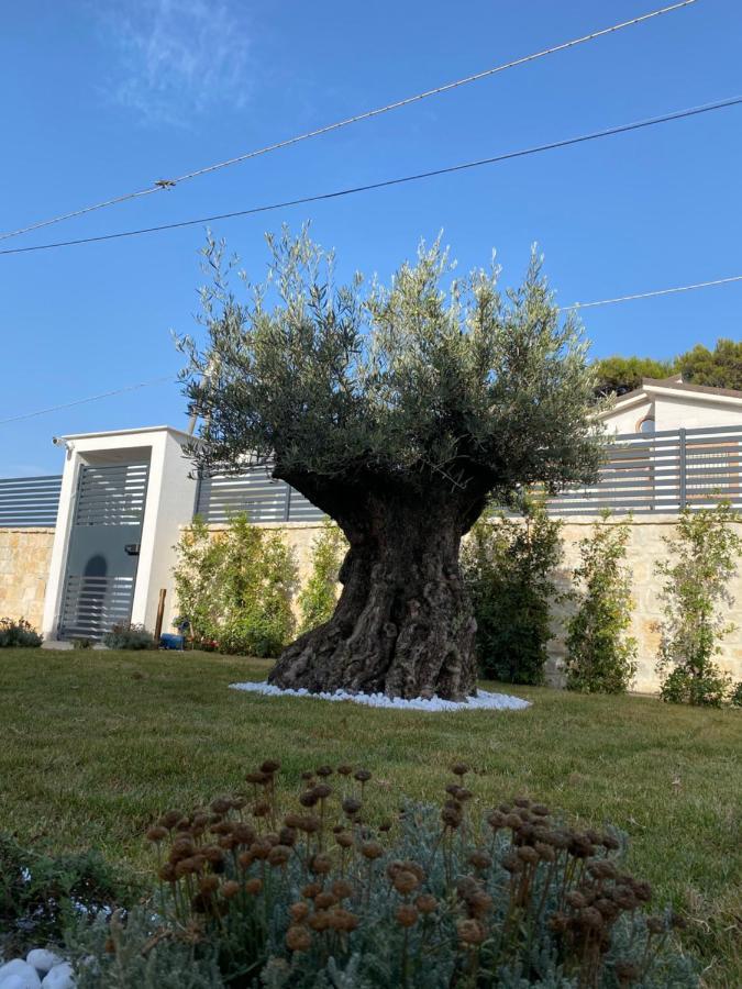 Villa Palladino Rooms Giovinazzo Exteriér fotografie